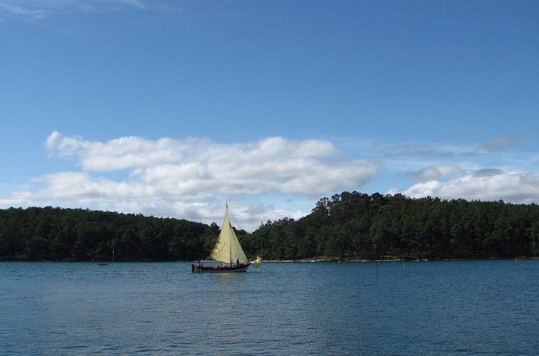 THE CORTEGADA ISLANDS