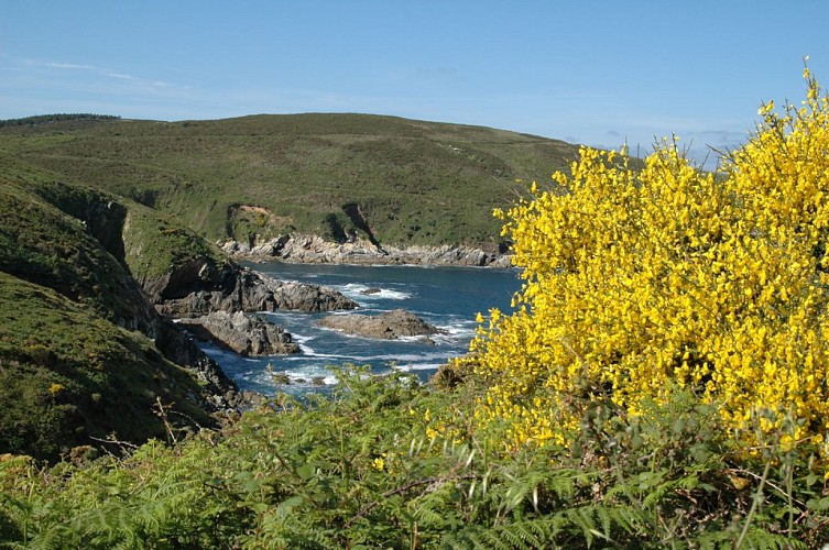 ENSENADA DE CANIVELIÑAS