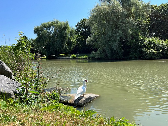 Parc Sainte-Reine - Aire de Jeux - Parcours santé