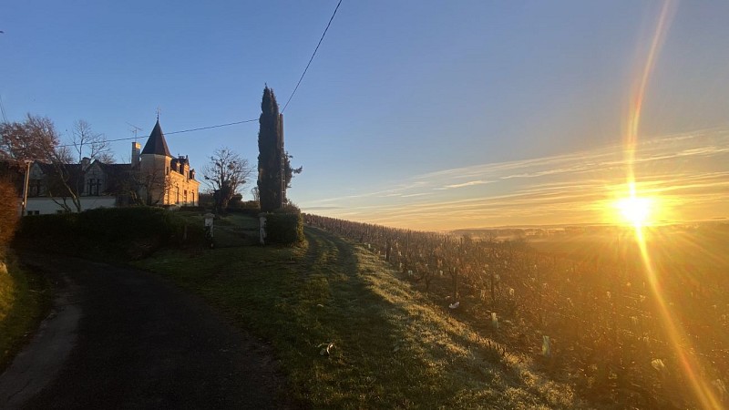 Le Petit Château des Tuffières_Lhomme