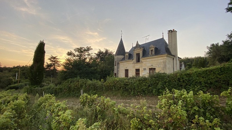 Le Petit Château des Tuffières_Lhomme