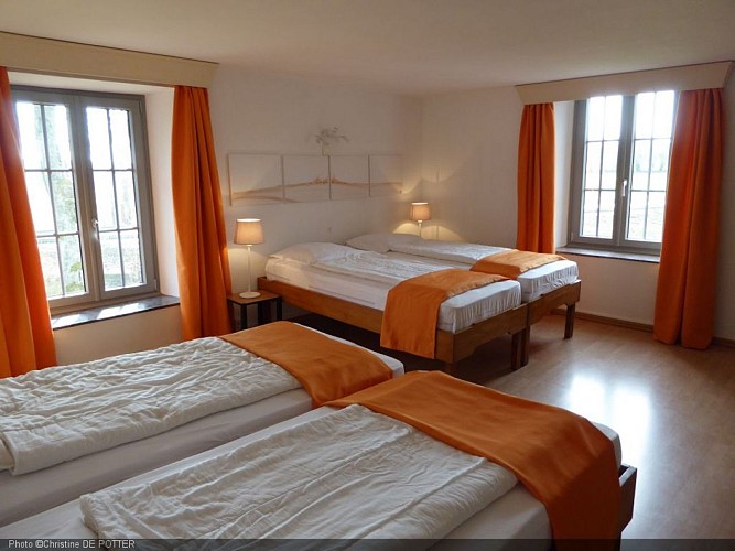 Moulin_halconreux_2016 (3).JPG