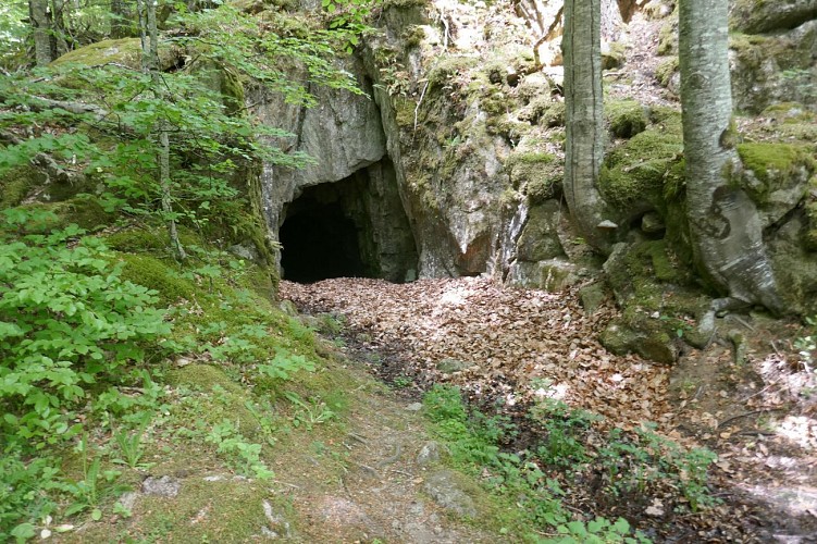 Tunnel d'accès