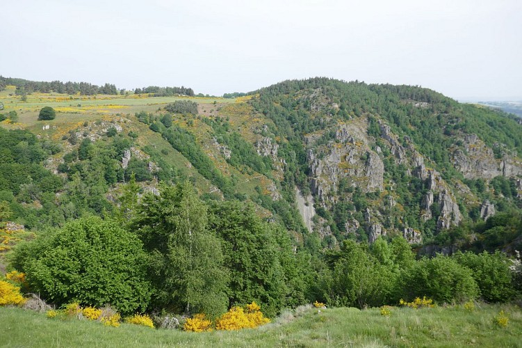 Point de vue du Chemin des Espagnols depuis le belvédère d'Arzenc d'Apcher