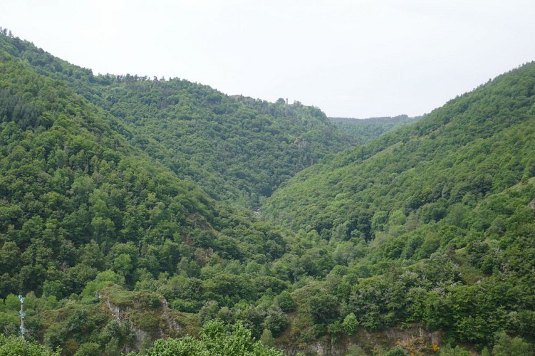 Vue sur les gorges du Bez