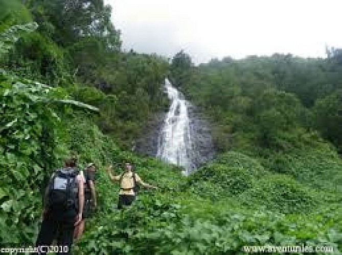 voile de la mariée Salazie