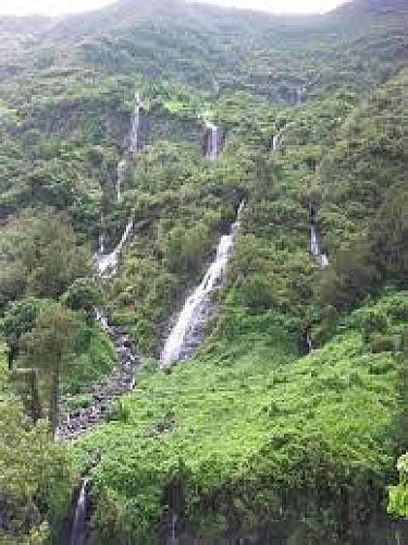 voile de la mariée Salazie