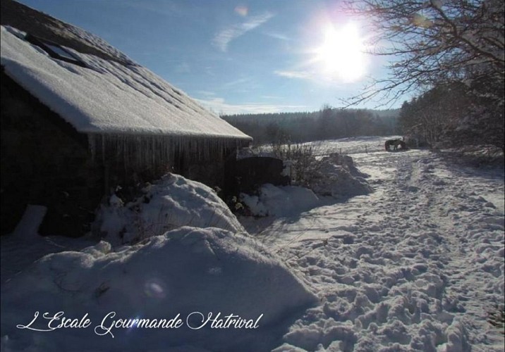 Screenshot_2025-02-17-10-10-39-81_5118055fcf8c120a411183afa705a454~2