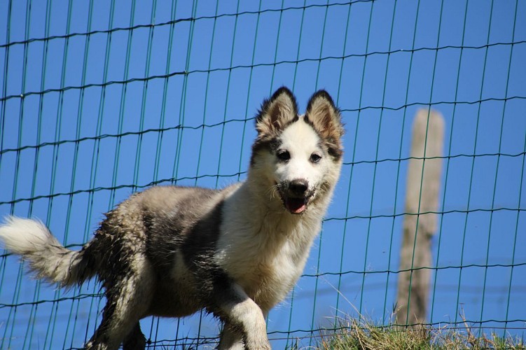 Découverte de la Grange du Musher à Oloron Sainte Marie