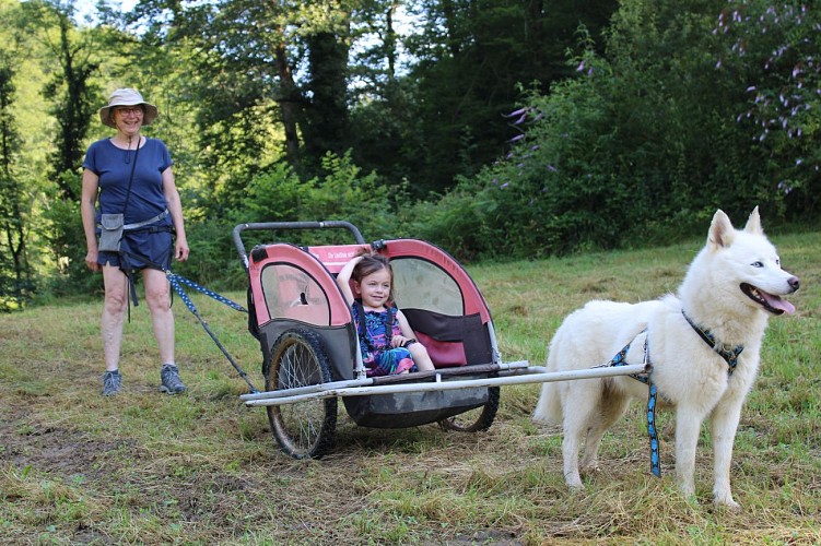Cani-Sulky pour les plus petits