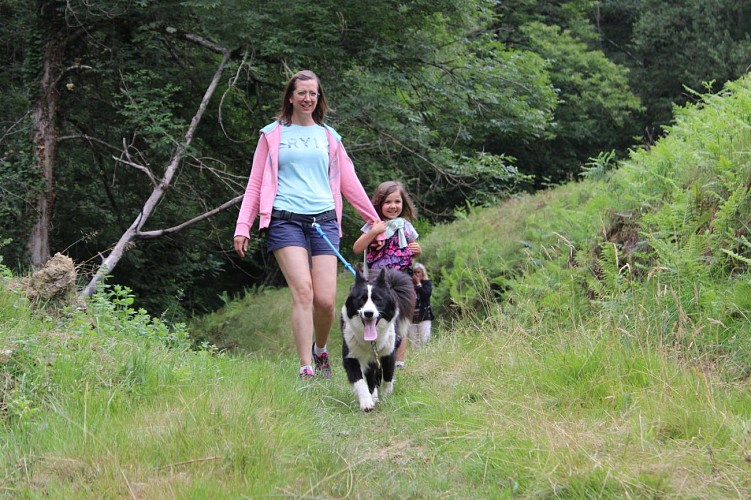 Formule découverte à Oloron Sainte-Marie