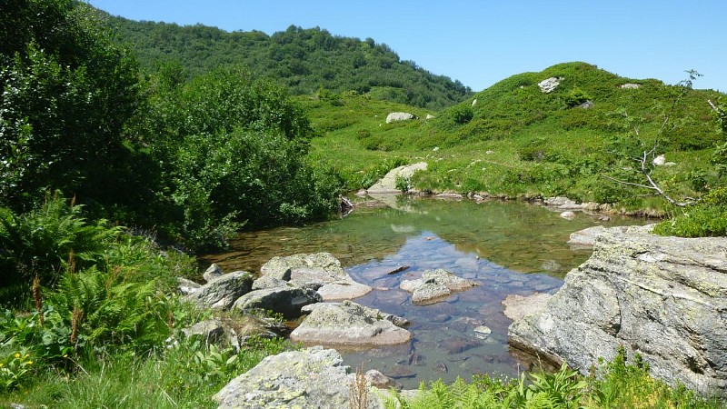 RandArc - Accompagnateur en montagne