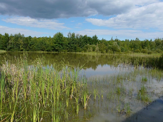 Site des Découvertes, Savignes-les-Mines
