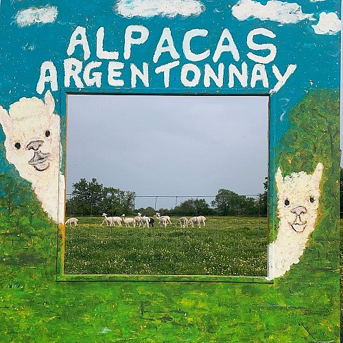 argentonnay-alpacas-panneau