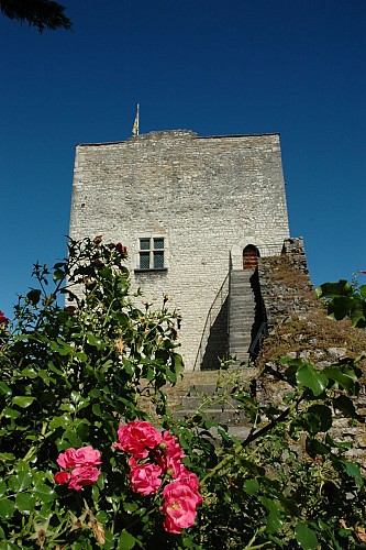 Morestel Medieval Tower