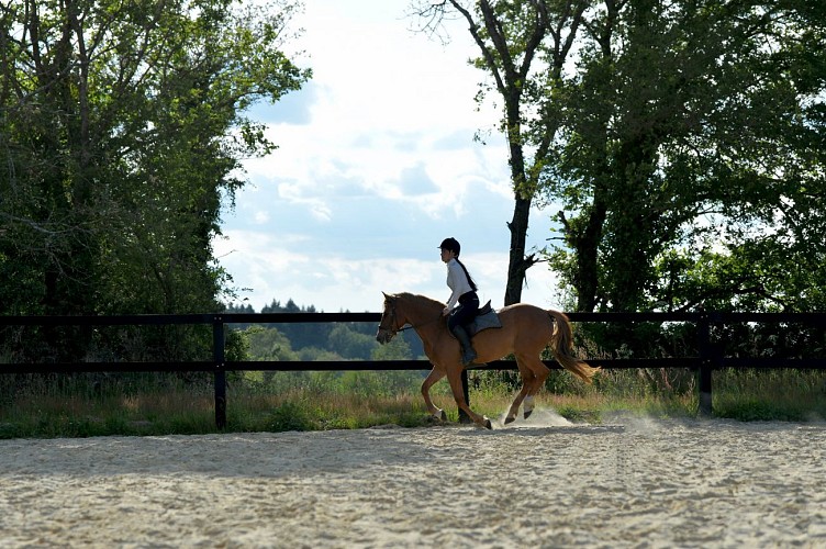 ECURIES DES JOULAIRES