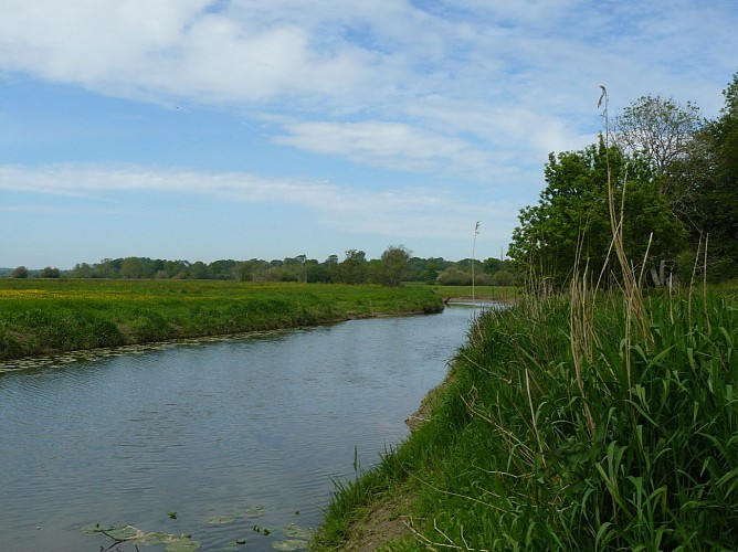 Les marais de la Douve et landes de Rauville