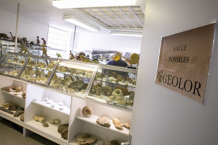 Musée Géolor