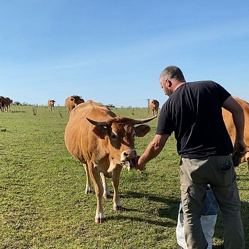 SCEA Régis Schneider