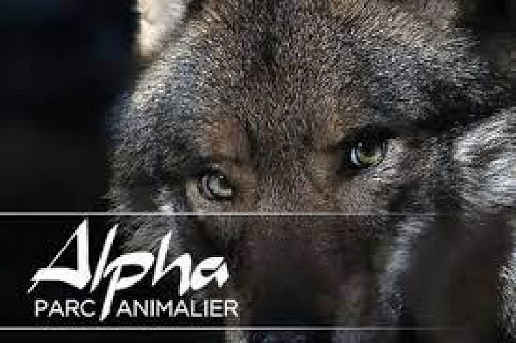 PARC ALPHA (LOUPS DU MERCANTOUR)