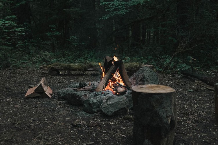 Le Camp des Dryades