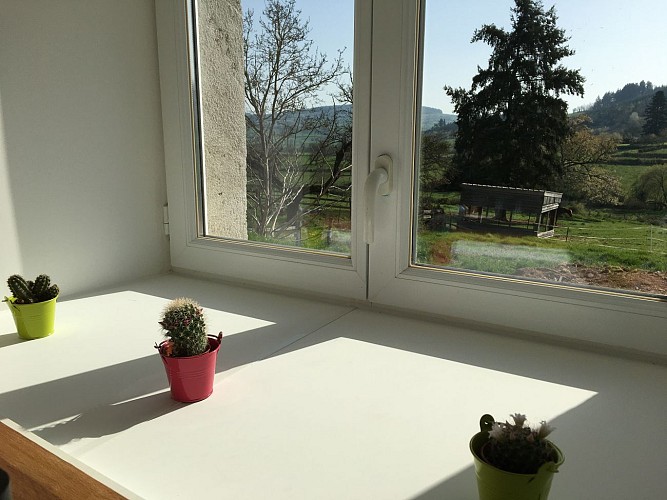 Vue sur la campagne plein Est.