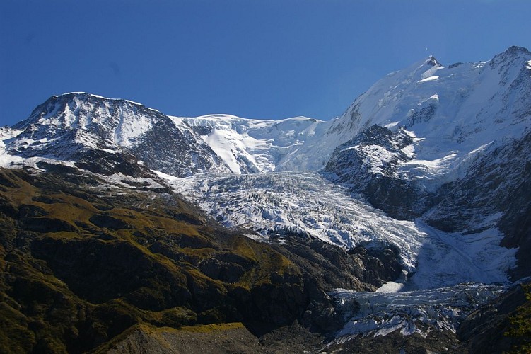 Glacier de Bionnassay
