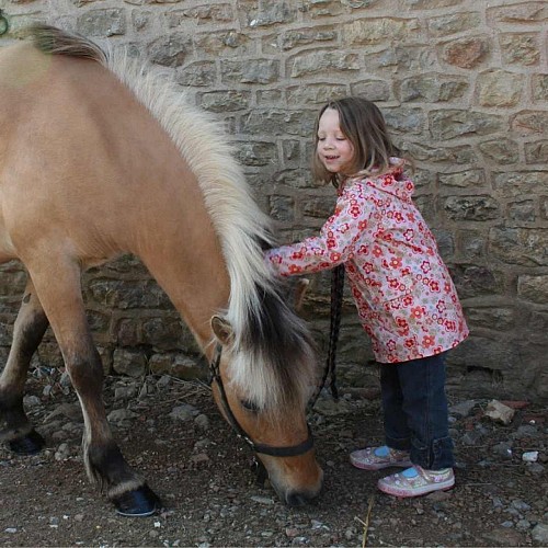 Mini ferme pédagogique La famille est dans les blés