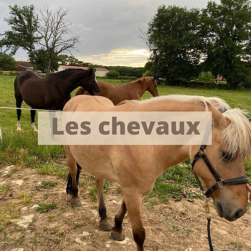 Mini ferme pédagogique La famille est dans les blés