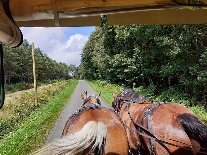 227071990_1029498747790030_4860534619726907739_n