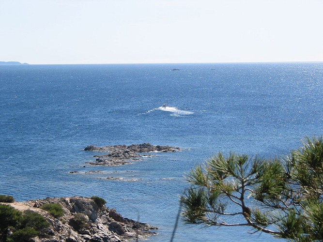 Pointe de l'Esquillette