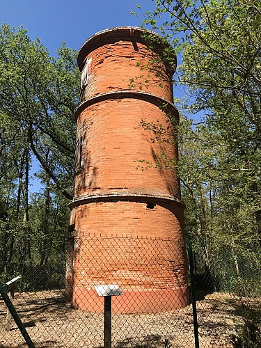 Forêt de Bouconne © Nathalie Casado - Agence d'attractivité Toulouse Métropole