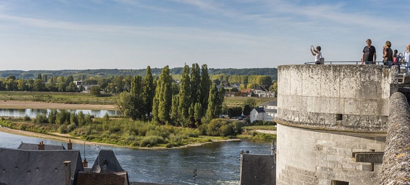 Vue Panoramique Chateau &amp; ville