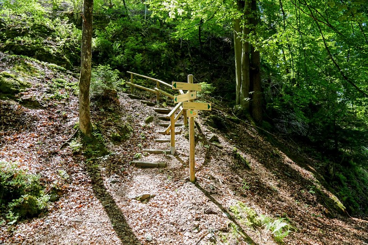 Ruines du château St Michel