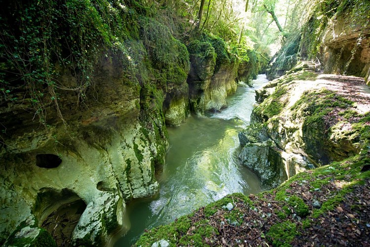 Gorges du Sierroz