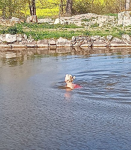 Relax Domaine Les Goulets