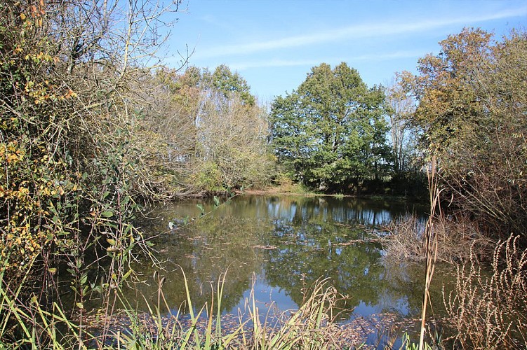 Ancien Etang Hidou