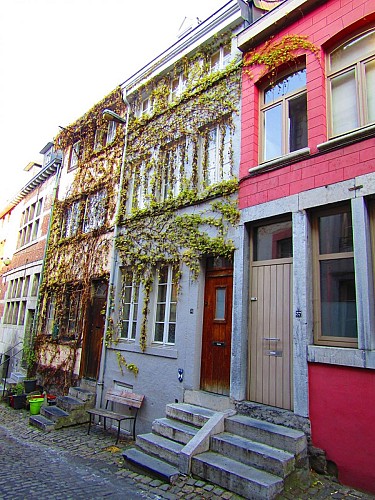 Habitation, rue Volière, 35