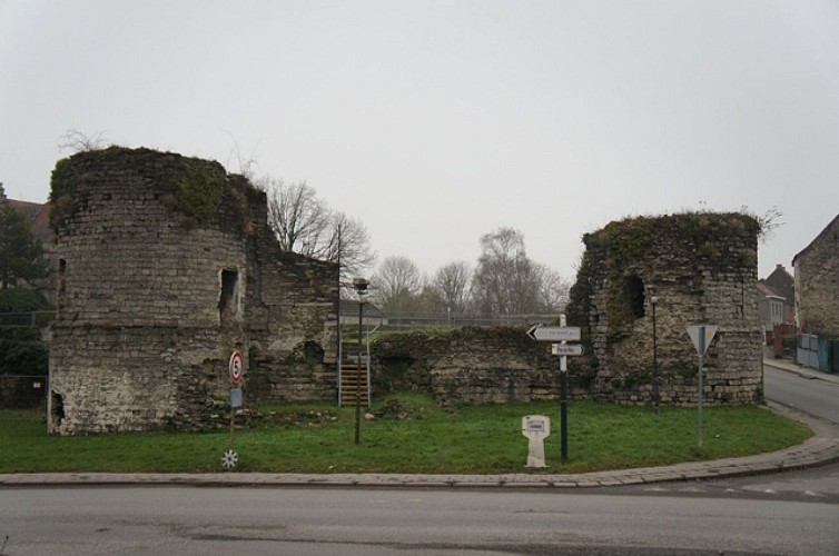 Les ruines de l’ancien château de Vaulx à Vaulx-lez-Tournai