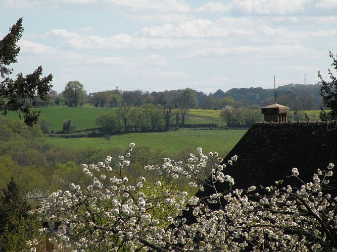 Domaine-Le-Haut-Verger---gite-La-Maison-du-Jardinier - Vue depuis le balcon