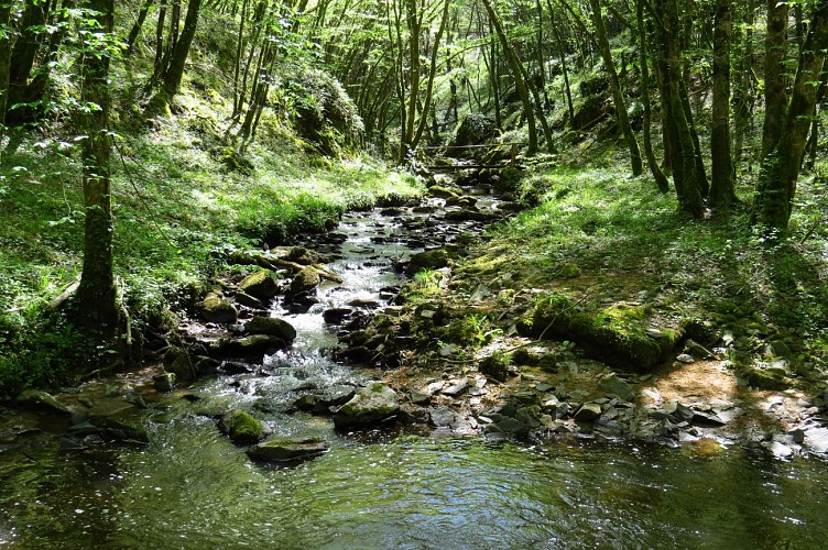 Domaine-Le-Haut-Verger---gite-La-Maison-du-Jardinier - La Gargilesse