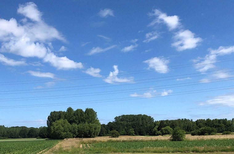 image du object
