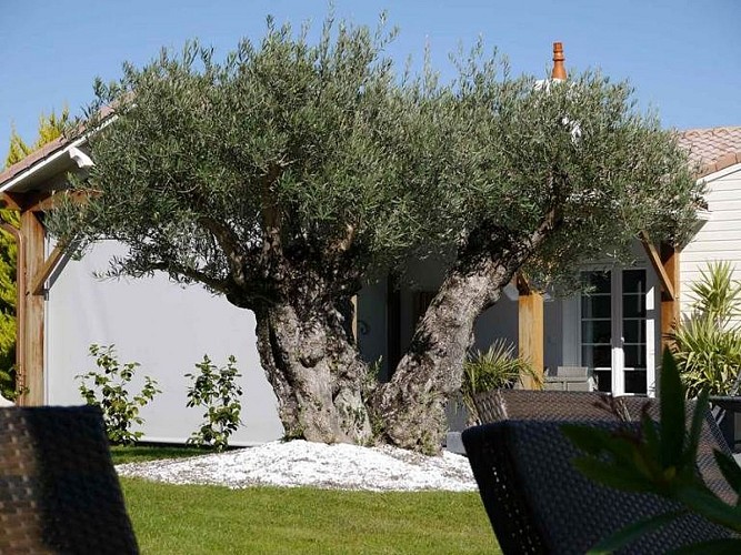 Une Escale à Pornic