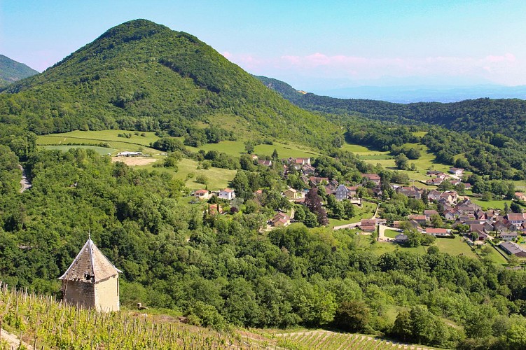 Le vignoble de Montagnieu et le grangeon pointu