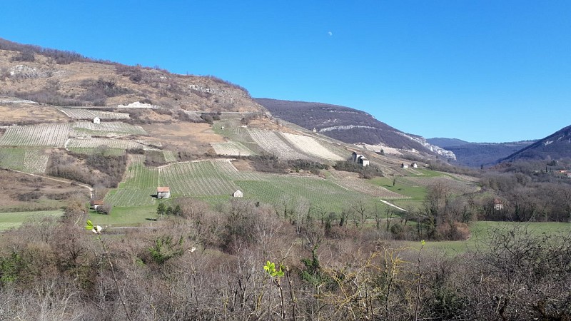Point de vue à la carrière de la meule