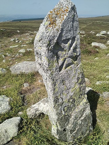 Montjoie frappé de la croix de Malte