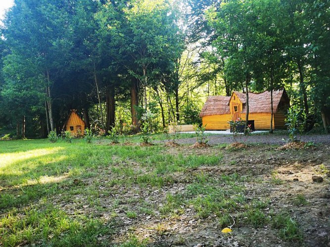 IMG_20220529_092043-768x576