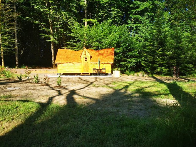 IMG_20220529_092227-768x576