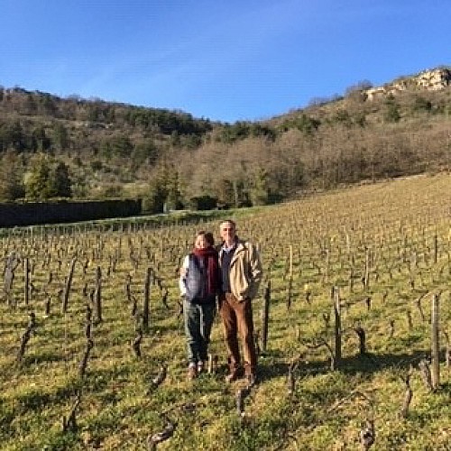 Cheilly les Maranges - Domaine Clos Saint Jean - Vins - Dégustation - Oenotourisme  (1)