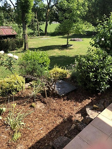 A l’Ombre des Acacias